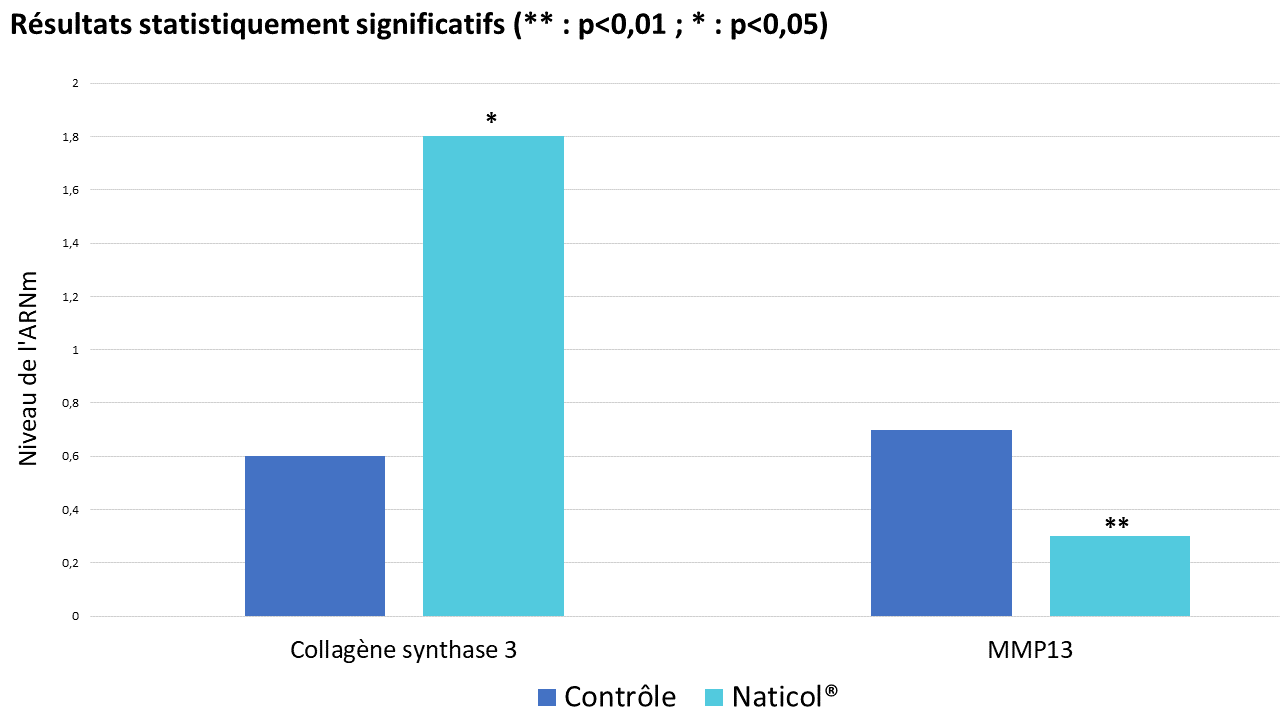 Impact de Naticol® sur l'expression de la collagène synthase 3 et la MMP13 